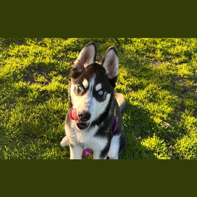 Photo of Moonie