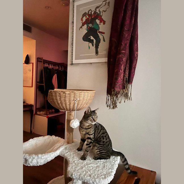 Photo of Rosie