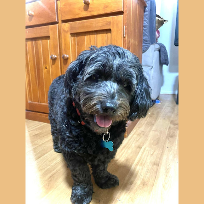 Photo of Astro