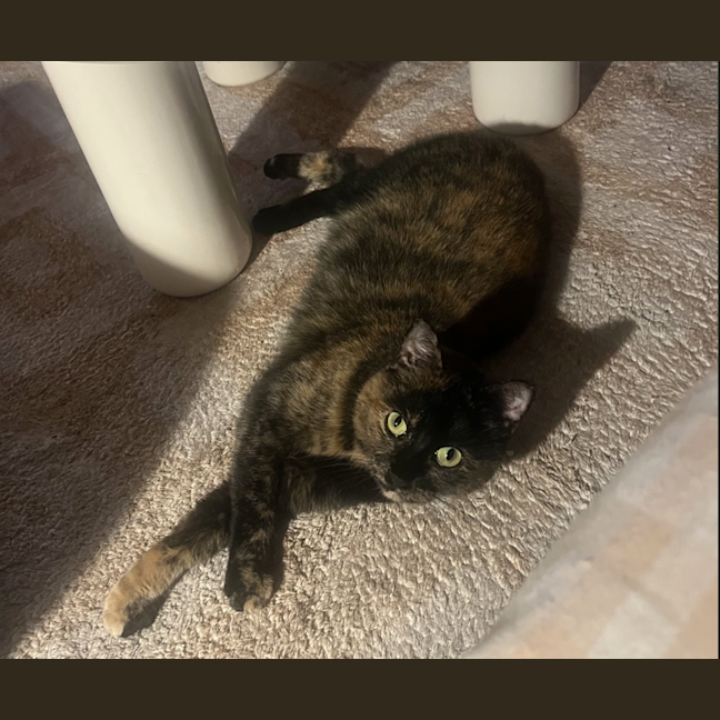 Photo of Wiggles