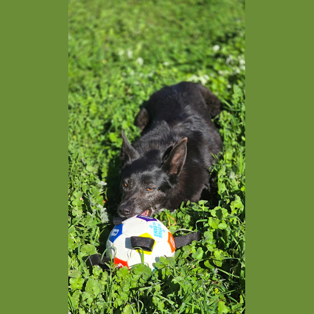 Photo of Matilda