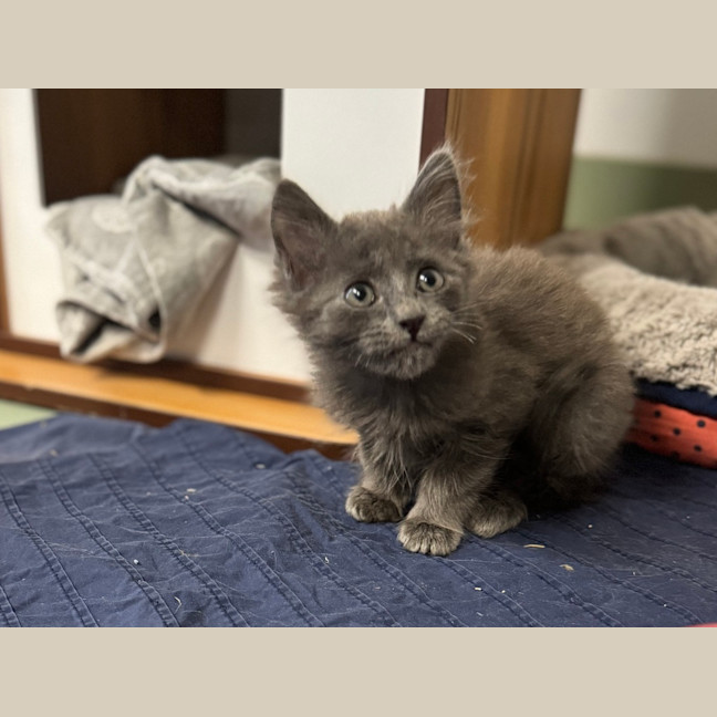 Photo of Wiggles 