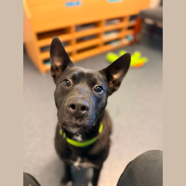 Photo of Flip