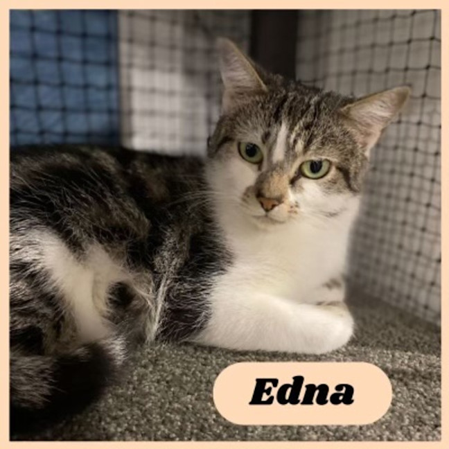 Photo of Edna