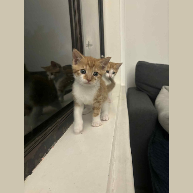 Photo of Elodie & Etienne