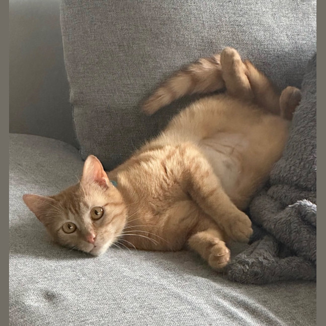 Photo of Chilli