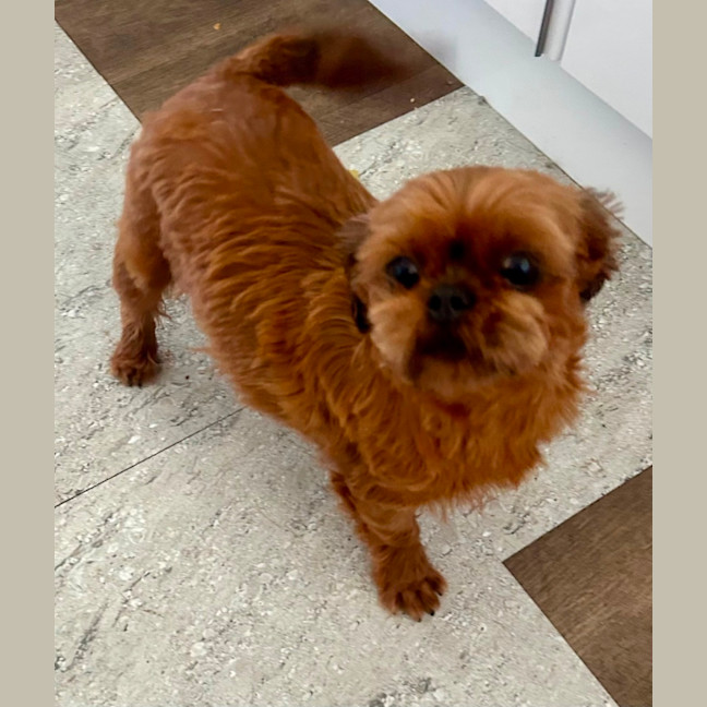 Photo of Moo(moo Moo)