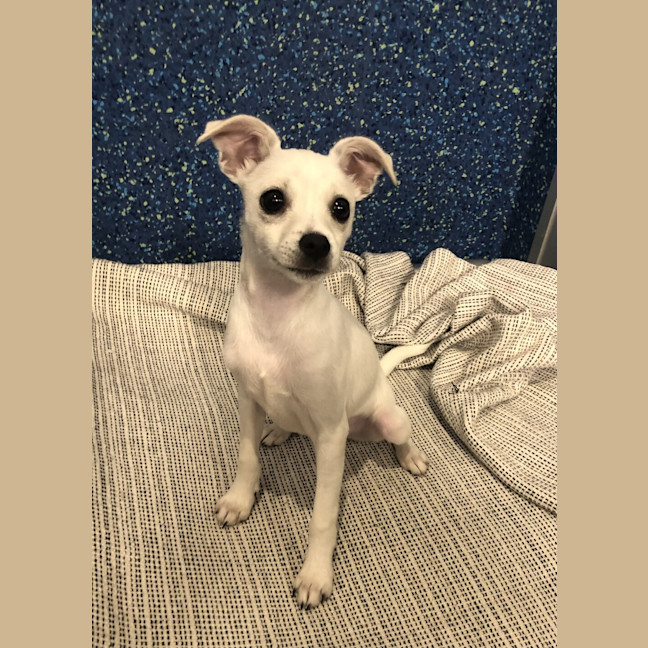 Photo of Jaxx