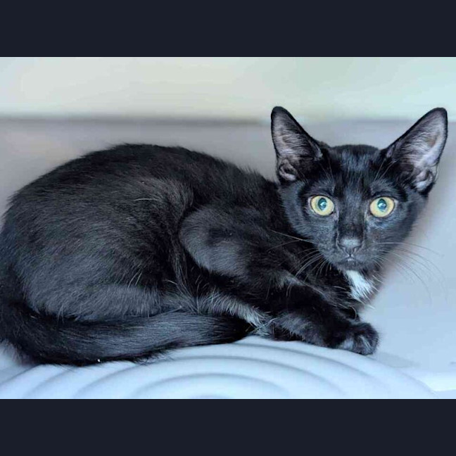 Photo of Princess
