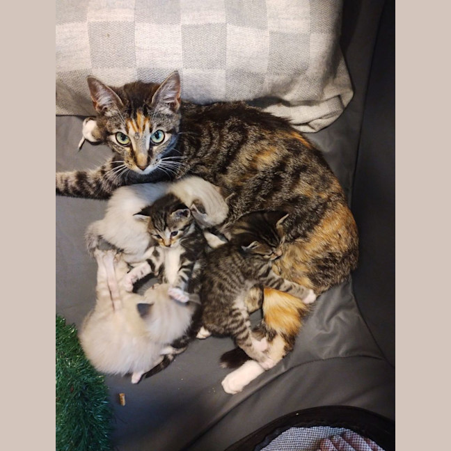 Photo of Minnie   Now At Pe Tquarters Thornton