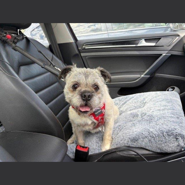 Photo of Molly Wensleydale