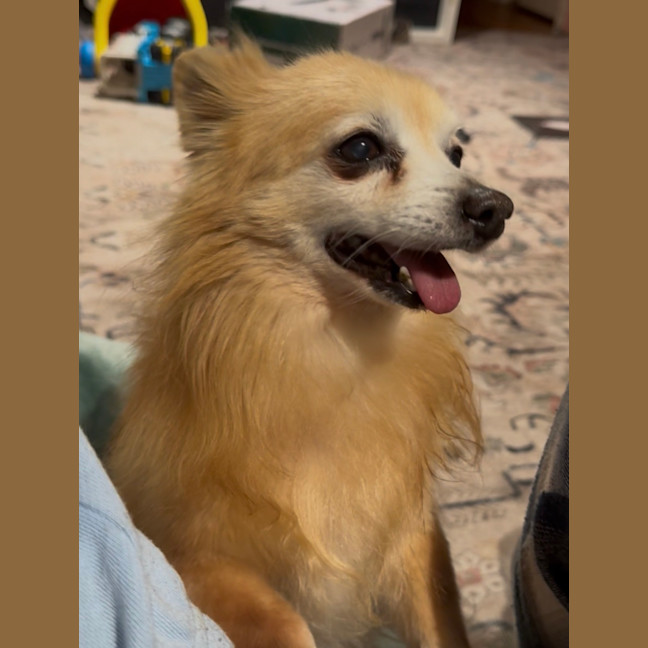 Photo of Coco