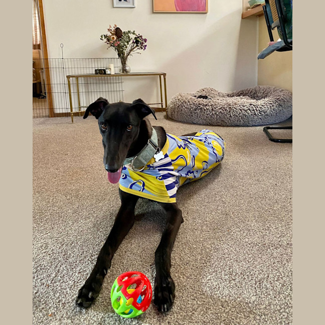 Photo of Izzie