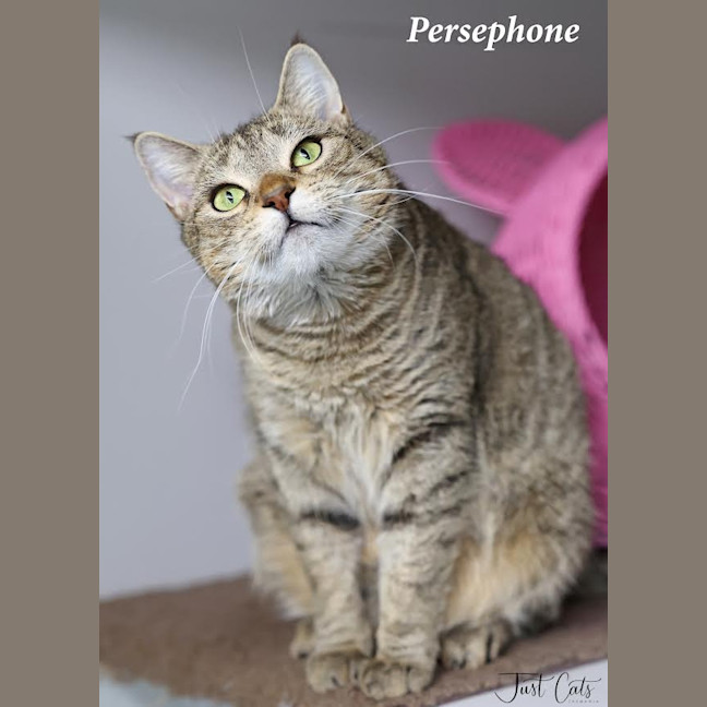 Photo of Persephone