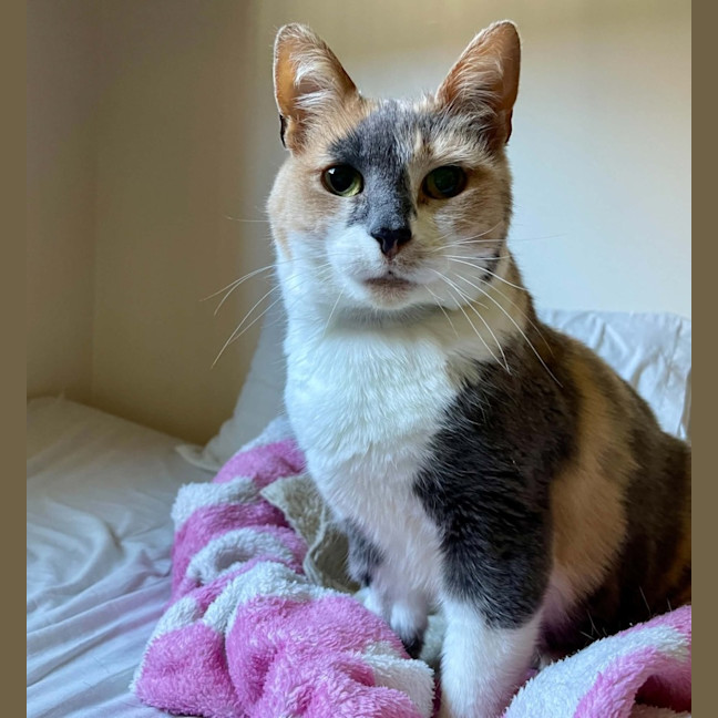 Photo of Katie