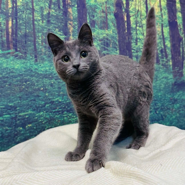 Photo of Travis   Located In Preston