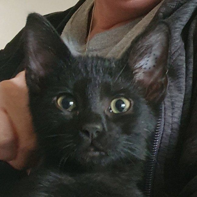 Photo of Zeke