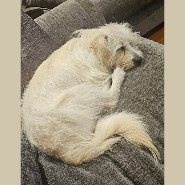 Photo of Searchlight