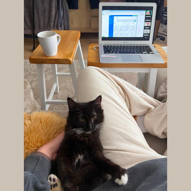 Photo of Buttons