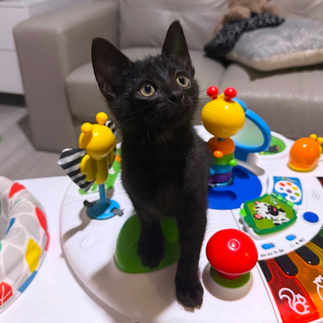 Photo of Elliott 🥥