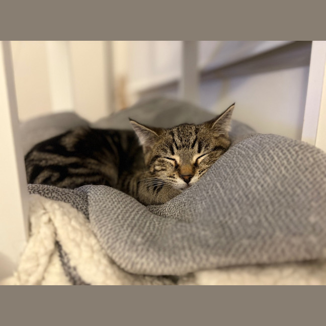 Photo of Hunter Mewell