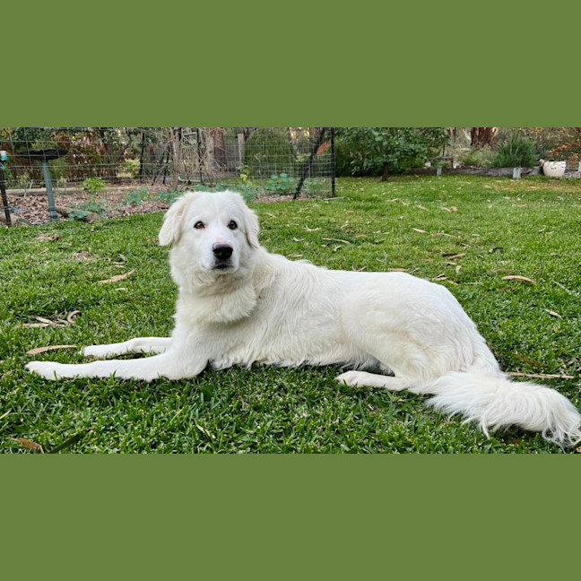 Photo of Whitney 