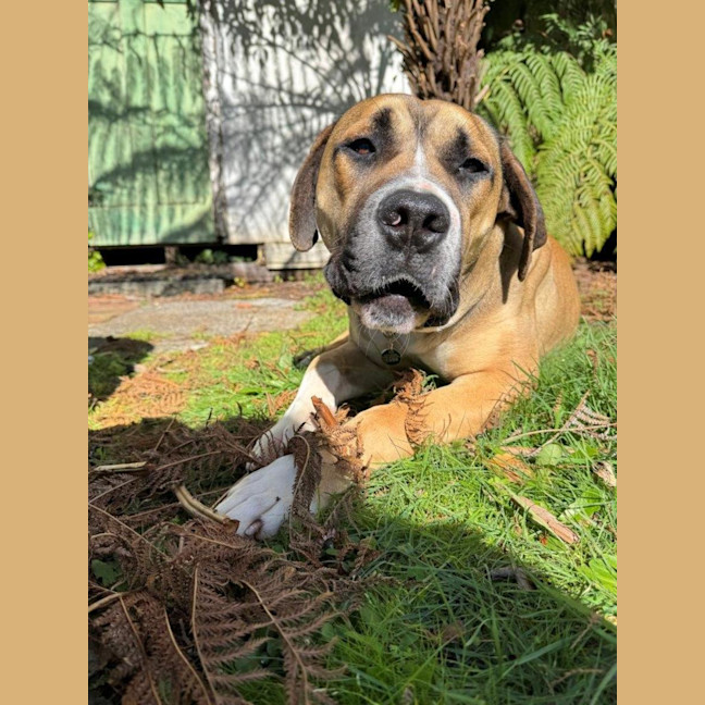 Photo of Archer Tamblyn