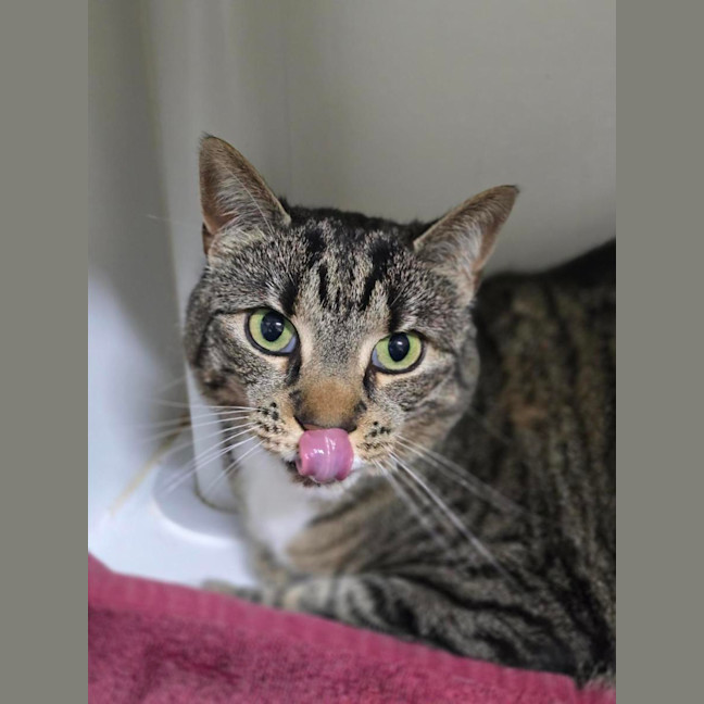 Photo of 🧂 Pepper 7558 🧂