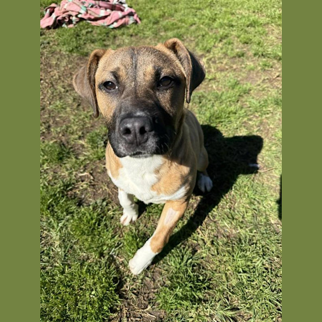 Photo of Major