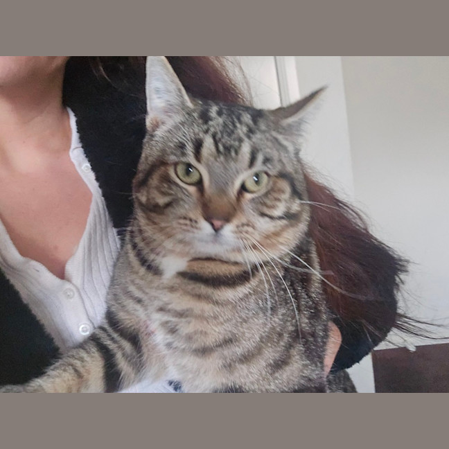 Photo of Pascall