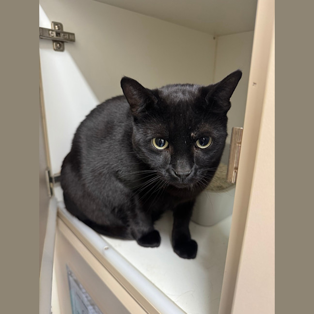 Photo of Kiki