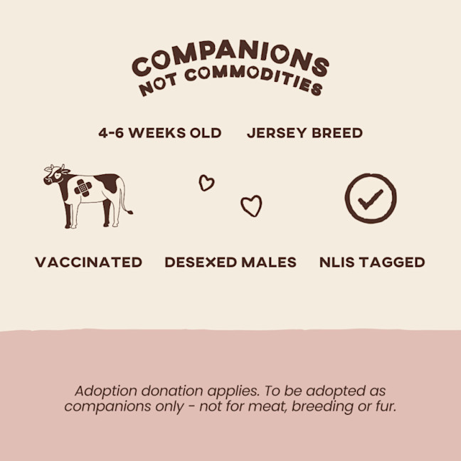 Photo of Darby & Elliot