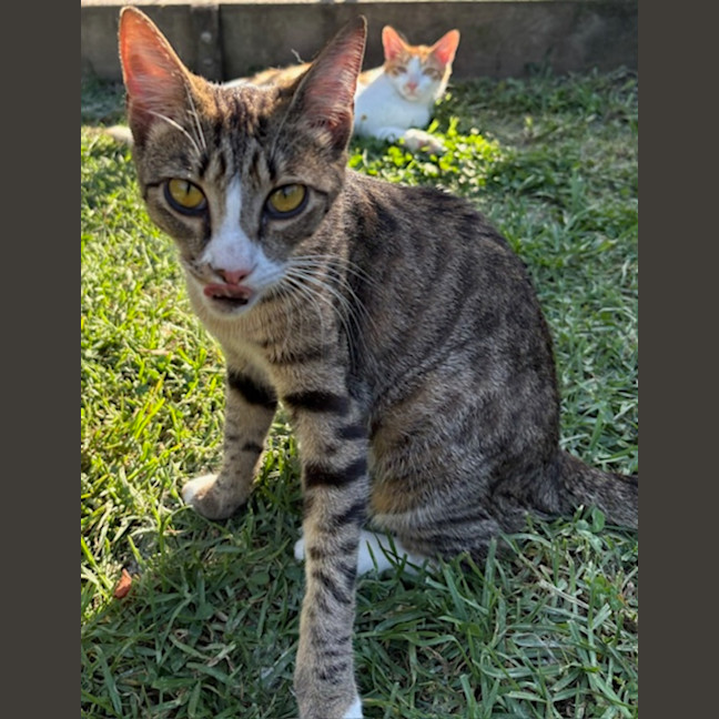 Photo of Milly