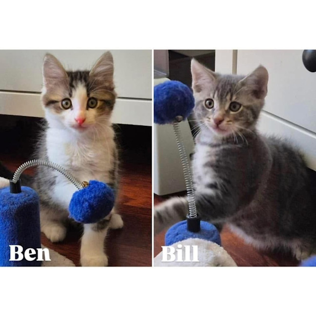 Photo of 11928/9   Ben & Bill