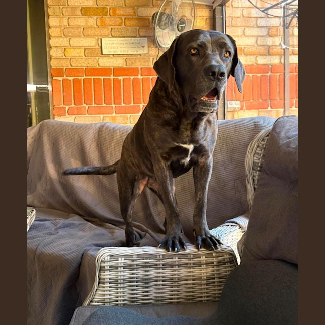 Photo of Polly