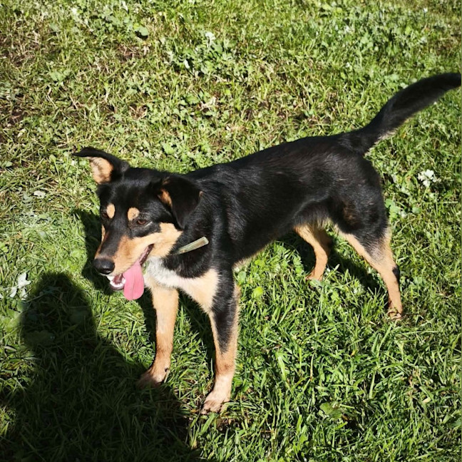 Photo of Lola
