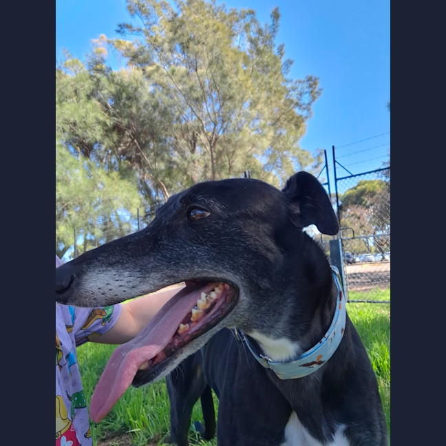 Photo of Tayla