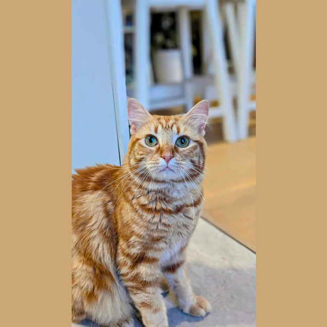 Photo of Barnaby & Rosie 