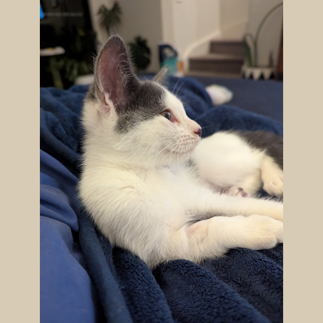 Photo of Minnie Baby