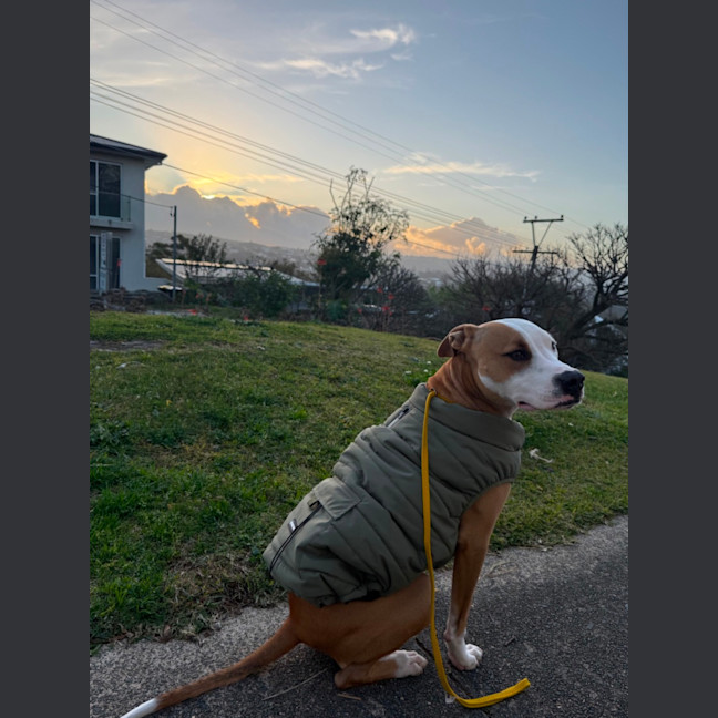 Photo of Suge