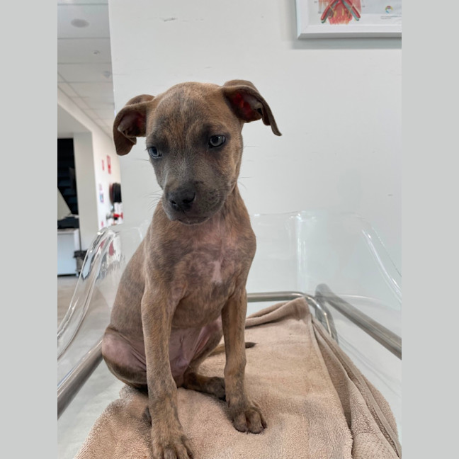 Photo of Zeus