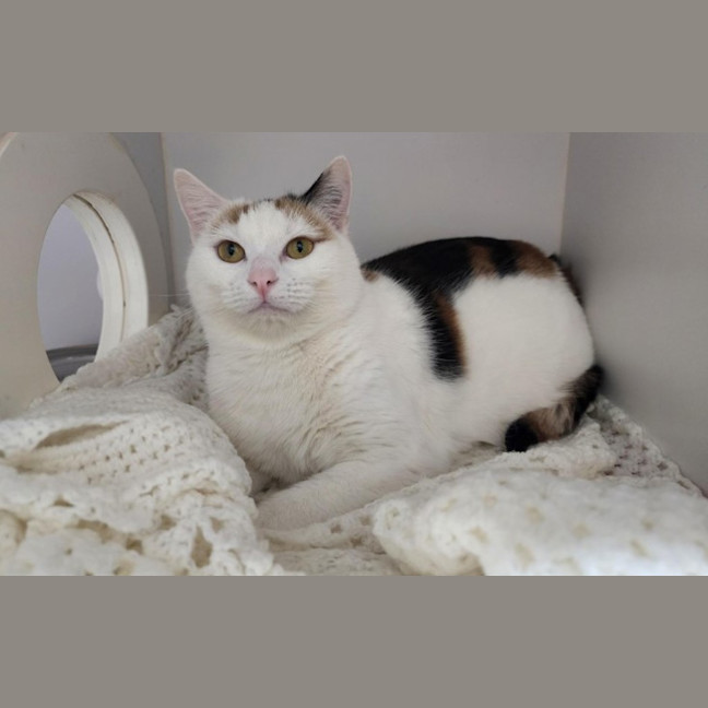 Photo of Rosie