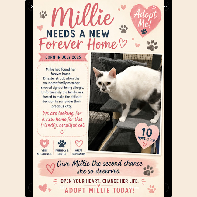 Photo of Millie💖