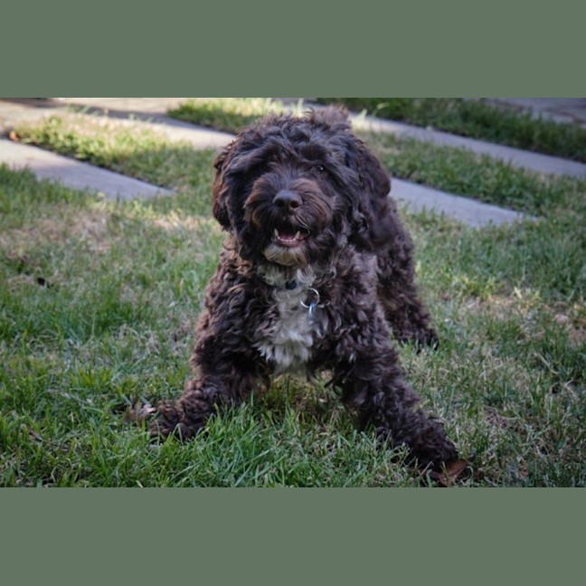 Photo of Bertie Kumara