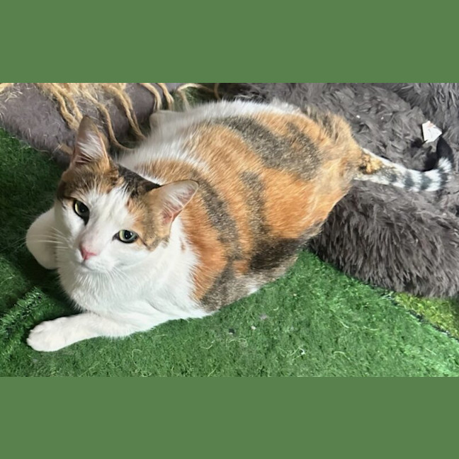 Photo of Marlee