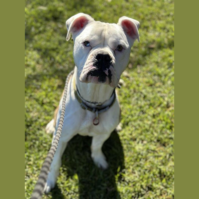 Photo of Thor