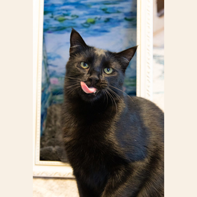 Photo of Miles Davis