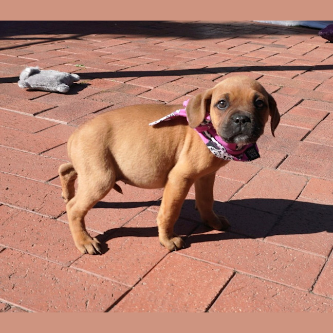 Photo of Buffy