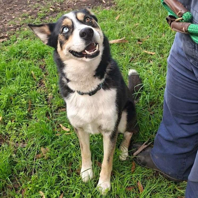 Photo of Rocket