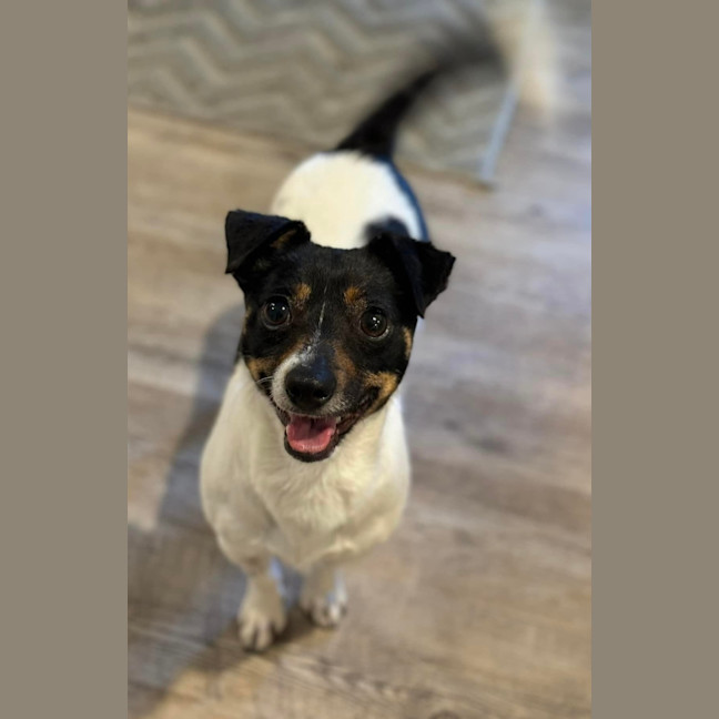 Photo of Little Bean 